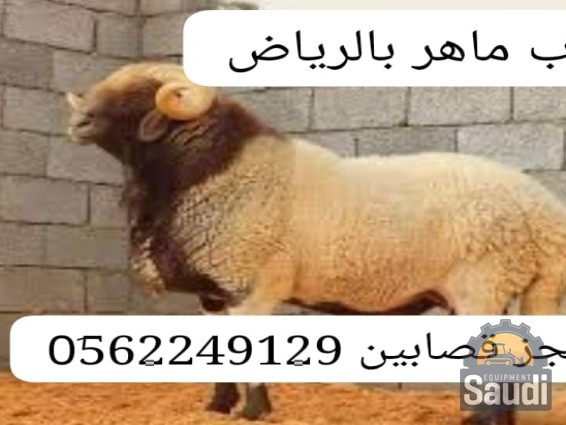 25012274501_aik54w.jpg